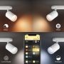 SPOTSKENA PHILIPS HUE FUGATO PLATE/SPIRAL VIT