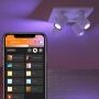 TAKSPOTLIGHT PHILIPS HUE ARGENTA PLATE/SPIRAL VIT