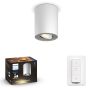 TAKSPOTLIGHT PHILIPS HUE PILLAR SINGEL VIT