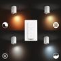 TAKSPOTLIGHT PHILIPS HUE PILLAR SINGEL VIT