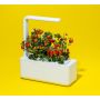ÖRTGÅRD CLICK&GROW SMART GARDEN 3 VIT