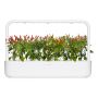 ÖRTGÅRD CLICK&GROW SMART GARDEN 9 VIT