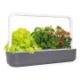 ÖRTGÅRD CLICK & GROW SMART GARDEN 9 MÖRKGRÅ