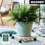 BLOMVAGN WAGNER MULTI ROLLER 35X35CM TRÄ 