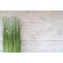 MOSAIK SPLITFACE SUGAR MARBLE 3D BRICK 2,3X4,8CM PRIS PER ARK