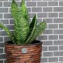 MOSAIK WELSCHEIT QUARTZ ARTIFICIAL BRICK GRÅ 30X32CM PRIS PER ARK