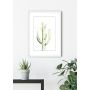 POSTER KOMAR SAGUARO WATERCOLOR 50X70CM