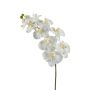 KONSTVÄXT EMERALD PHALAENOPSIS SPRAY SNITT CREME 102CM