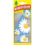 DOFTGRAN WUNDER-BAUM DAISY FLOWER