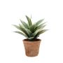 KONSTVÄXT EMERALD AGAVE GRÖN 19CM/11CM