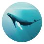 VÄGGDEKAL KOMAR DOT WHALE WATCHING 125CM