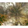FOTOTAPET KOMAR PALMS PANORAMA 300X250CM