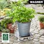 BLOMVAGN WAGNER MAXIGRIP TRÄ 29CM
