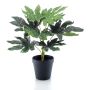 KONSTVÄXT EMERALD ARALIA I KRUKA 30CM