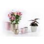 INOMHUSKRUKA SOENDGEN BASEL ELEGANCE 13 CM GRÅBIEGE