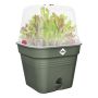 ODLINGSKRUKA ELHO GREEN BASICS 25X25CM GRÖN