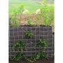 GABION GABIONA GRÖN 100X30X50CM