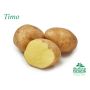 SÄTTPOTATIS STUBBETORP TIMO 1 KG
