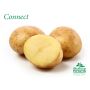 SÄTTPOTATIS STUBBETORP CONNECT 1 KG