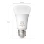 STARTPAKET PHILIPS HUE SET WCA E27 9W