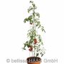 TOMATSTÖD BELISSA 120CM