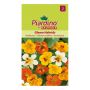BLOMFRÖ PIARDINO BUSKKRASSE GLEAM HYBRIDS  