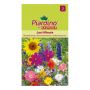 BLOMFRÖ PIARDINO BLOMBLANDNING LAST MINUTE 