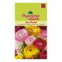 BLOMFRÖ PIARDINO JÄTTEETERNELL TOM THUMB MIX  
