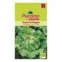 GRÖNSAKSFRÖ PIARDINO HUVUDSALLAT REGINA DI MAG  