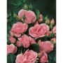 RABATTROS ASTRID LINDGREN ROSA 