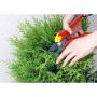 HÄCK THUJA SMARAGD 80-100CM KRUKODLAD