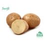 SÄTTPOTATIS STUBBETORP SWIFT 1 KG