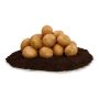 SÄTTPOTATIS SWIFT 3KG 