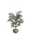 PALM I KRUKA 150 CM