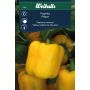 PAPRIKA WEIBULLS YELLOW CALIFORNIA WONDER                                