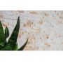 MOSAIK WELSCHEIT FACE BRICK SUNNY BEIGE 3D PRIS PER ARK
