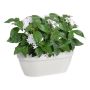 VÄGGKRUKA ELHO CAMPANA WALL BASKET VIT 35CM