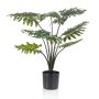 FILODENDRON 80CM PLASTKRUKA, GRÖN
