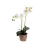 KONSTVÄXT ORKIDÉ PHALAENOPSIS I KRUKA VIT 56CM