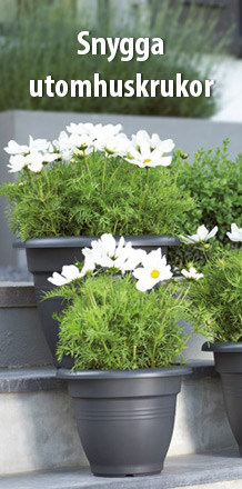 Snygga utomhuskrukor