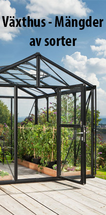 Växthus - Mängder av sorter